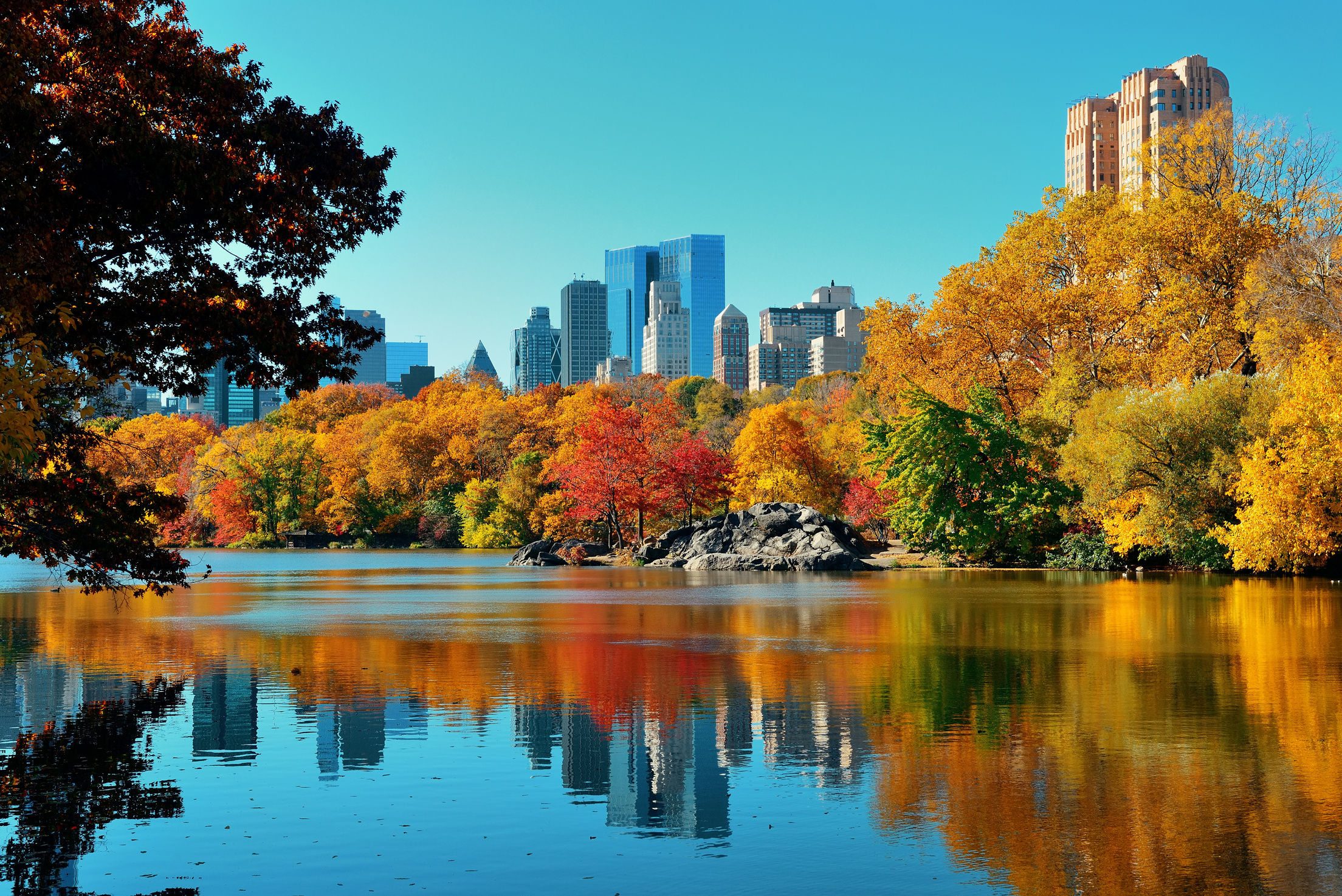 Central Park Autumn